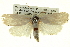  ( - BIOUG05071-H11)  @13 [ ] CreativeCommons - Attribution (2013) CBG Photography Group Centre for Biodiversity Genomics
