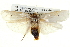  ( - BIOUG05072-A09)  @14 [ ] CreativeCommons - Attribution (2013) CBG Photography Group Centre for Biodiversity Genomics