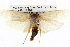  ( - BIOUG05072-A10)  @14 [ ] CreativeCommons - Attribution (2013) CBG Photography Group Centre for Biodiversity Genomics