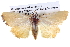  ( - BIOUG05072-B07)  @14 [ ] CreativeCommons - Attribution (2013) CBG Photography Group Centre for Biodiversity Genomics