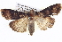  ( - BIOUG05072-E01)  @14 [ ] CreativeCommons - Attribution (2013) CBG Photography Group Centre for Biodiversity Genomics