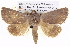  ( - BIOUG05072-H11)  @15 [ ] CreativeCommons - Attribution (2013) CBG Photography Group Centre for Biodiversity Genomics