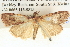 ( - BIOUG06107-A11)  @14 [ ] CreativeCommons - Attribution (2013) CBG Photography Group Centre for Biodiversity Genomics