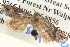  ( - BIOUG06107-B03)  @12 [ ] CreativeCommons - Attribution (2013) CBG Photography Group Centre for Biodiversity Genomics