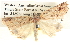  ( - BIOUG06107-D04)  @12 [ ] CreativeCommons - Attribution (2013) CBG Photography Group Centre for Biodiversity Genomics