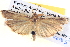  ( - BIOUG06107-D08)  @14 [ ] CreativeCommons - Attribution (2013) CBG Photography Group Centre for Biodiversity Genomics