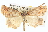  ( - BIOUG06107-G02)  @13 [ ] CreativeCommons - Attribution (2013) CBG Photography Group Centre for Biodiversity Genomics