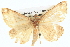  ( - BIOUG06107-H08)  @13 [ ] CreativeCommons - Attribution (2013) CBG Photography Group Centre for Biodiversity Genomics