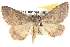  ( - BIOUG06107-H10)  @14 [ ] CreativeCommons - Attribution (2013) CBG Photography Group Centre for Biodiversity Genomics