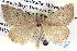  ( - BIOUG06108-C09)  @14 [ ] CreativeCommons - Attribution (2012) CBG Photography Group Centre for Biodiversity Genomics