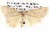  ( - BIOUG06108-E11)  @14 [ ] CreativeCommons - Attribution (2012) CBG Photography Group Centre for Biodiversity Genomics