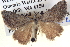  ( - BIOUG06108-F06)  @13 [ ] CreativeCommons - Attribution (2012) CBG Photography Group Centre for Biodiversity Genomics
