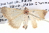  ( - BIOUG06108-F08)  @12 [ ] CreativeCommons - Attribution (2012) CBG Photography Group Centre for Biodiversity Genomics