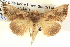  ( - BIOUG06108-H05)  @14 [ ] CreativeCommons - Attribution (2012) CBG Photography Group Centre for Biodiversity Genomics