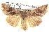  ( - BIOUG06108-H09)  @14 [ ] CreativeCommons - Attribution (2012) CBG Photography Group Centre for Biodiversity Genomics