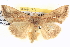  ( - BIOUG06109-A01)  @14 [ ] CreativeCommons - Attribution (2012) CBG Photography Group Centre for Biodiversity Genomics