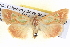  ( - BIOUG06109-A06)  @14 [ ] CreativeCommons - Attribution (2012) CBG Photography Group Centre for Biodiversity Genomics