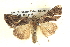  ( - BIOUG06109-A12)  @14 [ ] CreativeCommons - Attribution (2012) CBG Photography Group Centre for Biodiversity Genomics