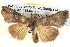  ( - BIOUG06109-B01)  @14 [ ] CreativeCommons - Attribution (2012) CBG Photography Group Centre for Biodiversity Genomics