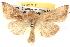  ( - BIOUG06109-B05)  @13 [ ] CreativeCommons - Attribution (2012) CBG Photography Group Centre for Biodiversity Genomics