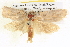  ( - BIOUG06109-C09)  @12 [ ] CreativeCommons - Attribution (2012) CBG Photography Group Centre for Biodiversity Genomics