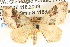  ( - BIOUG06109-E01)  @14 [ ] CreativeCommons - Attribution (2012) CBG Photography Group Centre for Biodiversity Genomics
