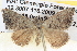  ( - BIOUG06109-F02)  @14 [ ] CreativeCommons - Attribution (2012) CBG Photography Group Centre for Biodiversity Genomics