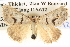  ( - BIOUG06109-G12)  @14 [ ] CreativeCommons - Attribution (2012) CBG Photography Group Centre for Biodiversity Genomics