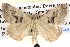  ( - BIOUG06109-H03)  @14 [ ] CreativeCommons - Attribution (2012) CBG Photography Group Centre for Biodiversity Genomics