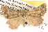  ( - BIOUG06110-A05)  @12 [ ] CreativeCommons - Attribution (2013) CBG Photography Group Centre for Biodiversity Genomics