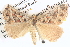  ( - BIOUG06110-A06)  @13 [ ] CreativeCommons - Attribution (2013) CBG Photography Group Centre for Biodiversity Genomics
