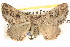  ( - BIOUG06110-D05)  @15 [ ] CreativeCommons - Attribution (2013) CBG Photography Group Centre for Biodiversity Genomics