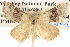  ( - BIOUG06110-D11)  @13 [ ] CreativeCommons - Attribution (2013) CBG Photography Group Centre for Biodiversity Genomics