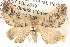  ( - BIOUG06110-F08)  @14 [ ] CreativeCommons - Attribution (2013) CBG Photography Group Centre for Biodiversity Genomics