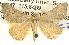  ( - BIOUG06110-H05)  @14 [ ] CreativeCommons - Attribution (2013) CBG Photography Group Centre for Biodiversity Genomics