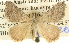  ( - BIOUG06110-H06)  @14 [ ] CreativeCommons - Attribution (2013) CBG Photography Group Centre for Biodiversity Genomics