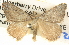  ( - BIOUG06110-H09)  @13 [ ] CreativeCommons - Attribution (2013) CBG Photography Group Centre for Biodiversity Genomics
