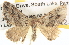  ( - BIOUG06110-H11)  @14 [ ] CreativeCommons - Attribution (2013) CBG Photography Group Centre for Biodiversity Genomics