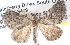  ( - BIOUG06111-B06)  @14 [ ] CreativeCommons - Attribution (2012) CBG Photography Group Centre for Biodiversity Genomics