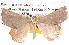  ( - BIOUG06111-D08)  @13 [ ] CreativeCommons - Attribution (2012) CBG Photography Group Centre for Biodiversity Genomics
