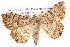  ( - BIOUG06112-A05)  @14 [ ] CreativeCommons - Attribution (2012) CBG Photography Group Centre for Biodiversity Genomics