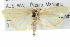  ( - BIOUG04715-B03)  @14 [ ] CreativeCommons - Attribution (2013) CBG Photography Group Centre for Biodiversity Genomics