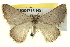  ( - BIOUG04715-H01)  @14 [ ] CreativeCommons - Attribution (2013) CBG Photography Group Centre for Biodiversity Genomics