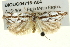  ( - BIOUG04716-A04)  @11 [ ] CreativeCommons - Attribution (2013) CBG Photography Group Centre for Biodiversity Genomics
