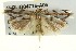  ( - BIOUG04716-A05)  @11 [ ] CreativeCommons - Attribution (2013) CBG Photography Group Centre for Biodiversity Genomics