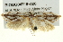  ( - BIOUG04716-A06)  @12 [ ] CreativeCommons - Attribution (2013) CBG Photography Group Centre for Biodiversity Genomics