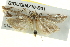  ( - BIOUG04716-B01)  @11 [ ] CreativeCommons - Attribution (2013) CBG Photography Group Centre for Biodiversity Genomics