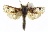  ( - BIOUG04716-B09)  @14 [ ] CreativeCommons - Attribution (2013) CBG Photography Group Centre for Biodiversity Genomics