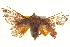  ( - BIOUG04716-C02)  @12 [ ] CreativeCommons - Attribution (2013) CBG Photography Group Centre for Biodiversity Genomics