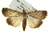  ( - BIOUG04716-F12)  @14 [ ] CreativeCommons - Attribution (2013) CBG Photography Group Centre for Biodiversity Genomics